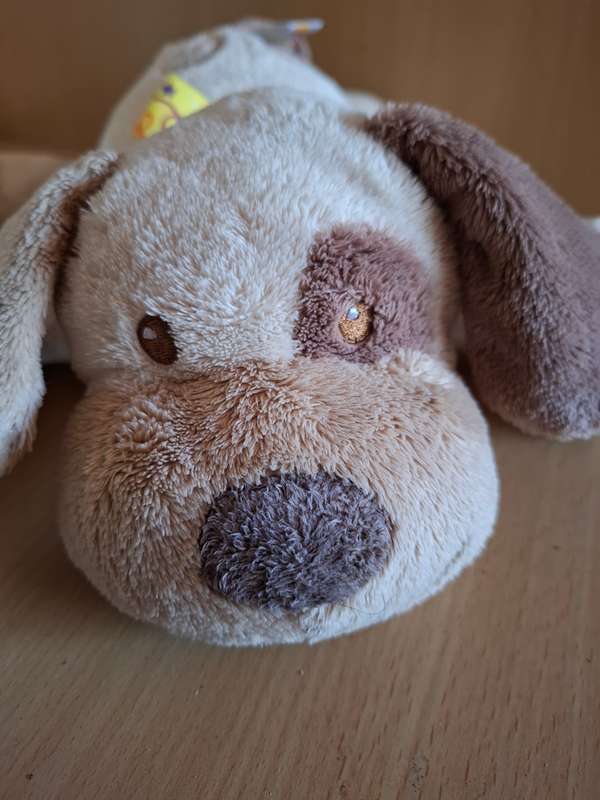 Dog Soft Toy