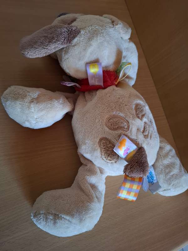 Dog Soft Toy