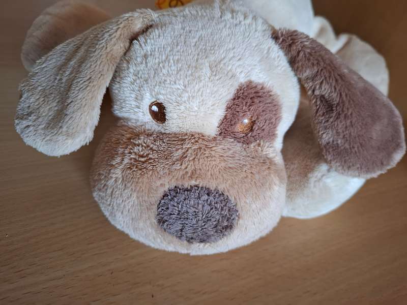 Dog Soft Toy
