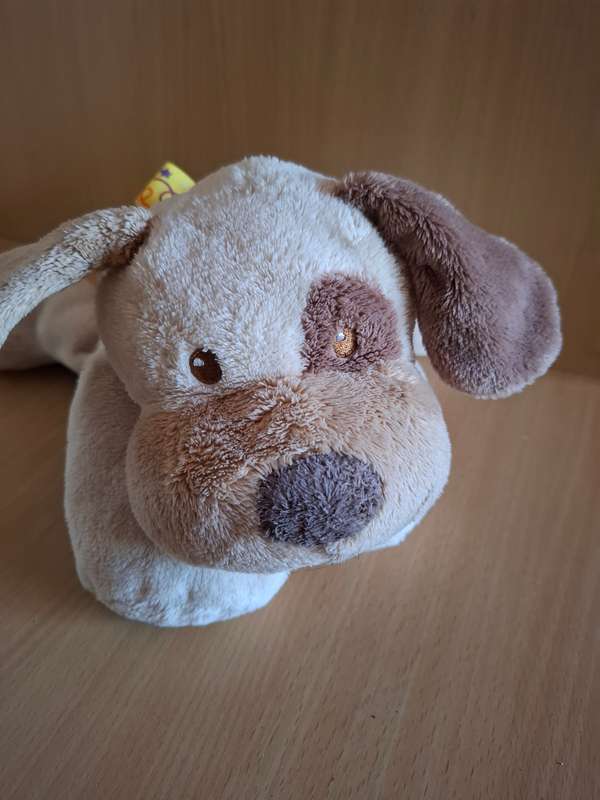 Dog Soft Toy