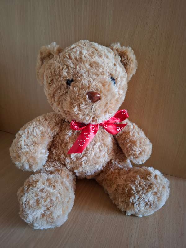 Teddy Bear