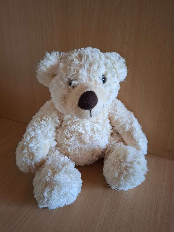 Teddy Bear