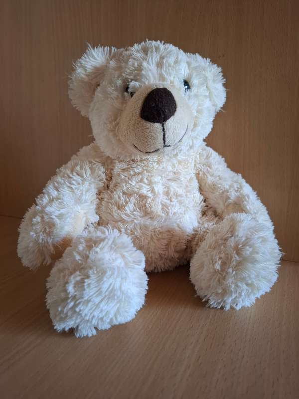 Teddy Bear
