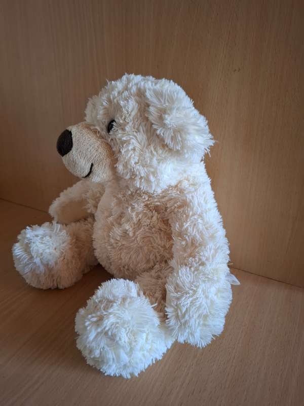 Teddy Bear
