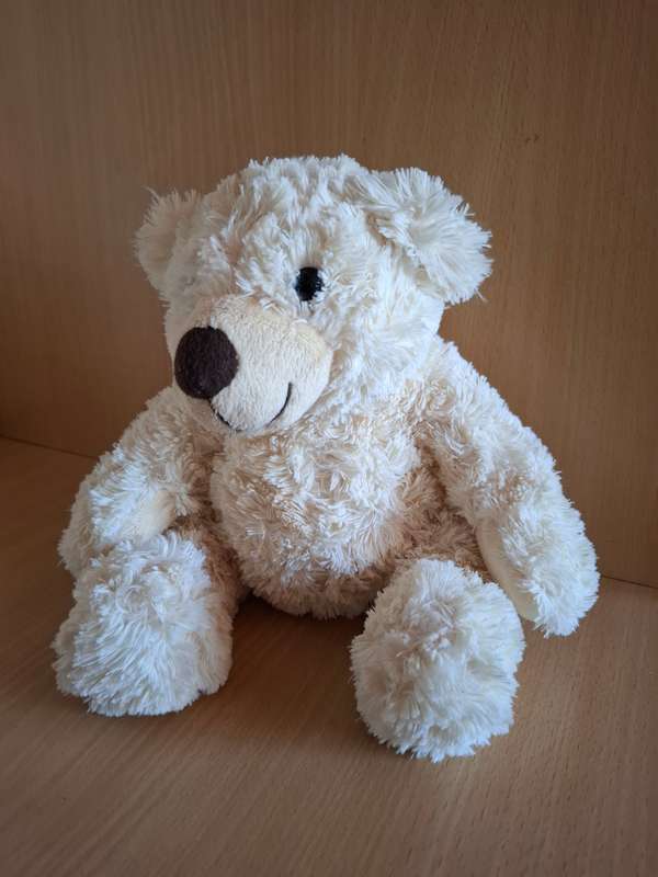 Teddy Bear