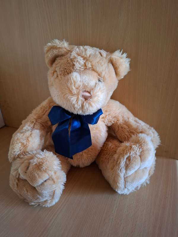 Teddy Bear
