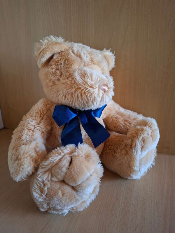 Teddy Bear