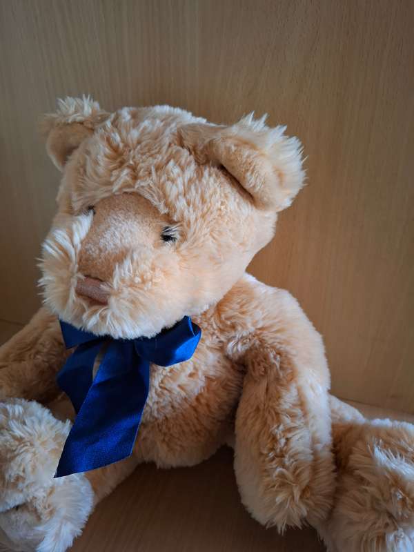 Teddy Bear