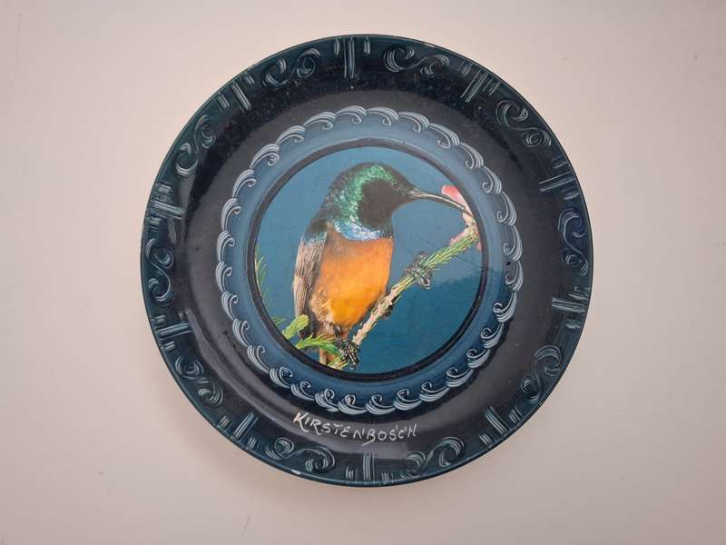 Bird Wall Plate - Kirstenbosch  (width 18cm)
