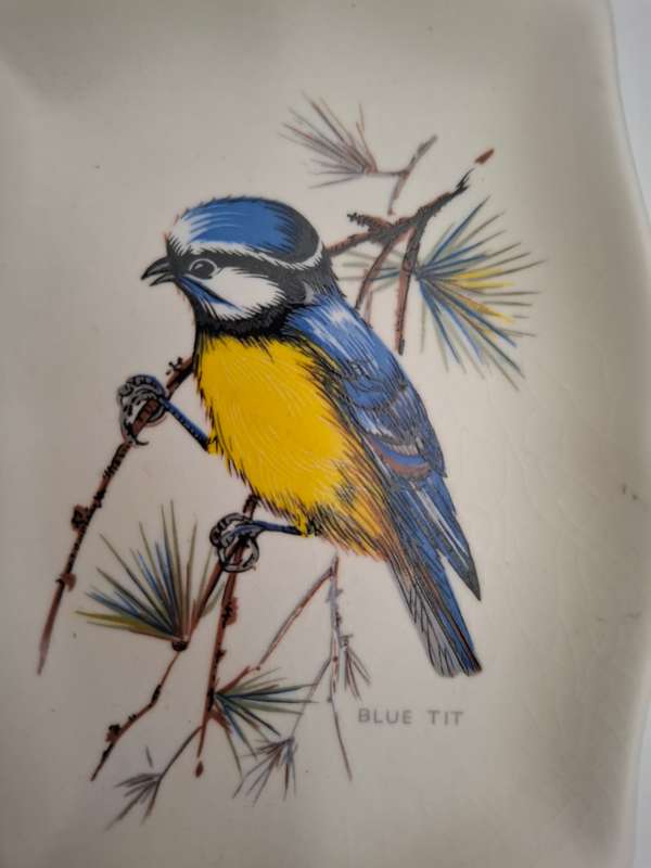 Small Vintage Bird Pin Dish - Axe Vale Pottery, Devon England  (10cm x 8cm)
