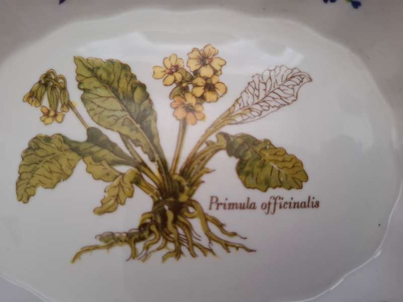 Princess Royal Fine Bone China Pin Dish, Made in England (13cm x 10cm)