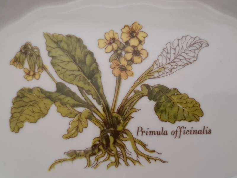 Princess Royal Fine Bone China Pin Dish, Made in England (13cm x 10cm)