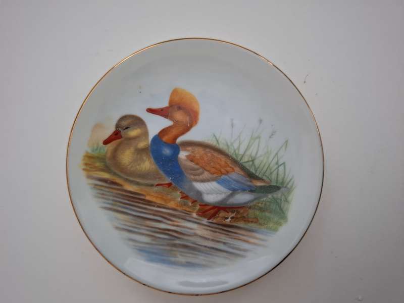Small Round Duck Plate - width 10cm