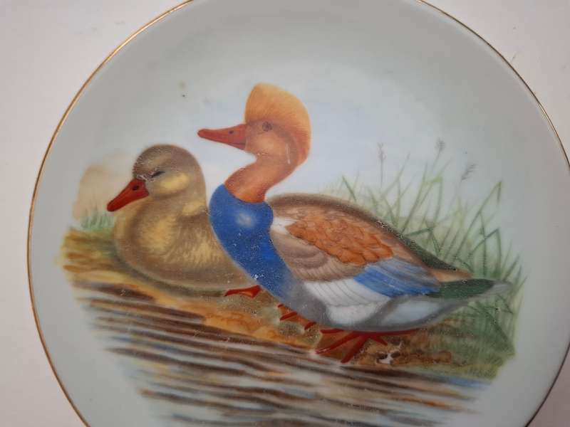 Small Round Duck Plate - width 10cm