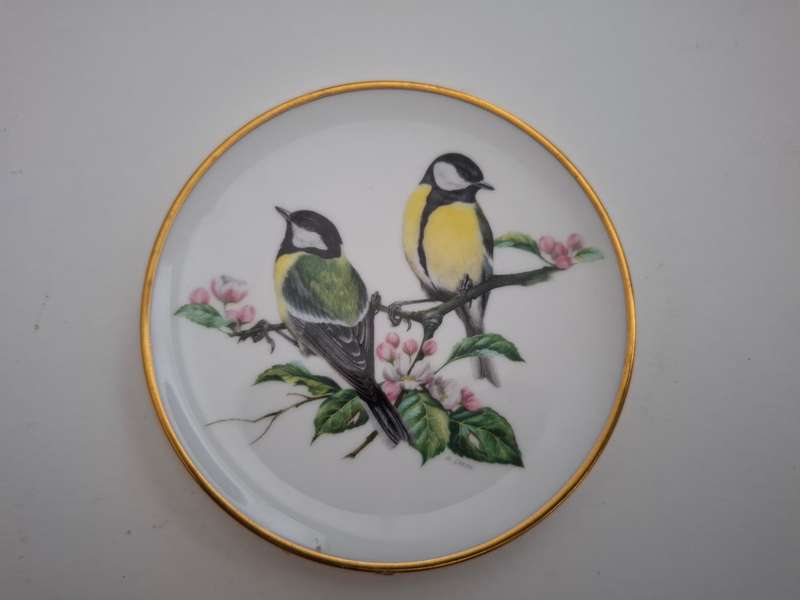 Small Coalport Plate - British Birds - Great Tit - width 9cm