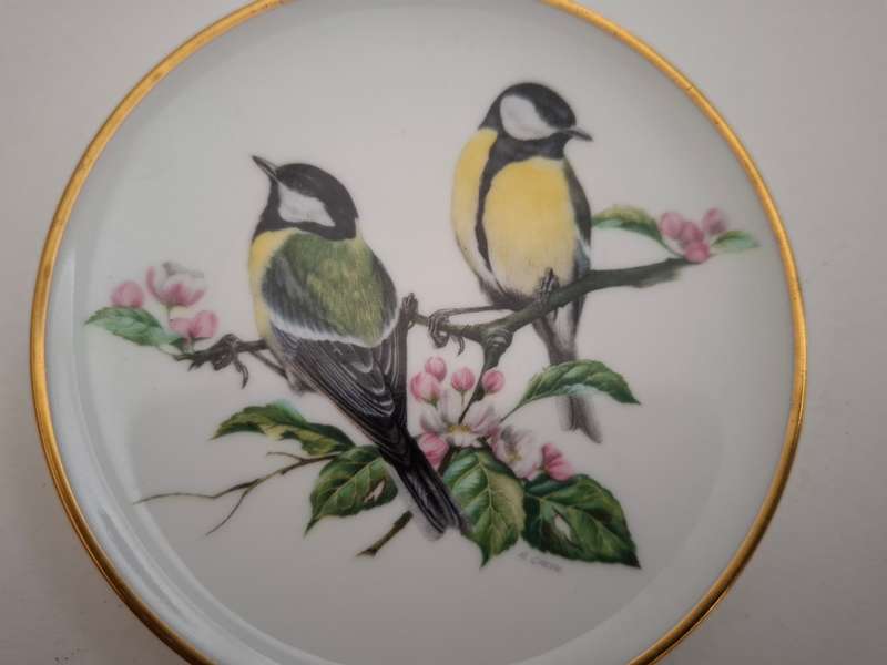 Small Coalport Plate - British Birds - Great Tit - width 9cm