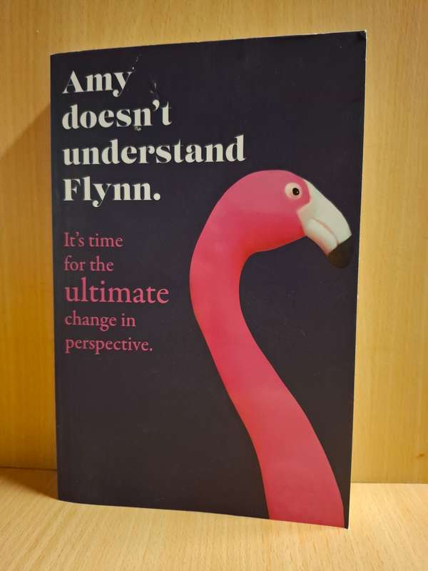 Amy Doesn`t Understand Flynn : Cesca Major  (Paperback)