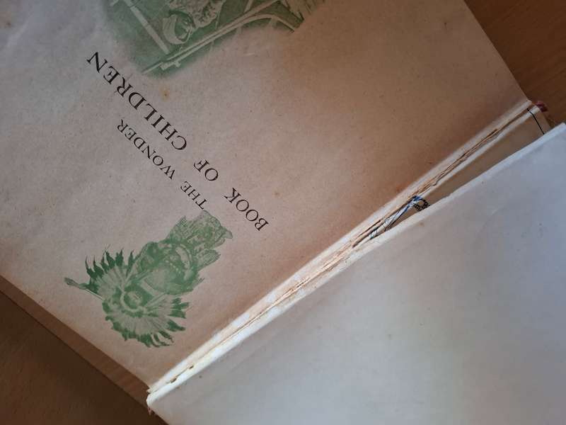 The Wonder Book of Children of All Nations , 1917  (Hardcover)