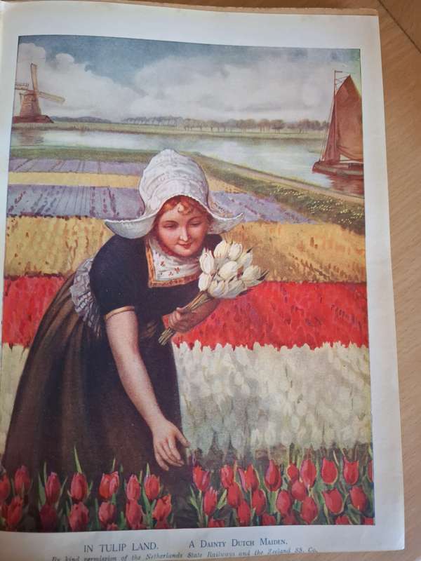 The Wonder Book of Children of All Nations , 1917  (Hardcover)