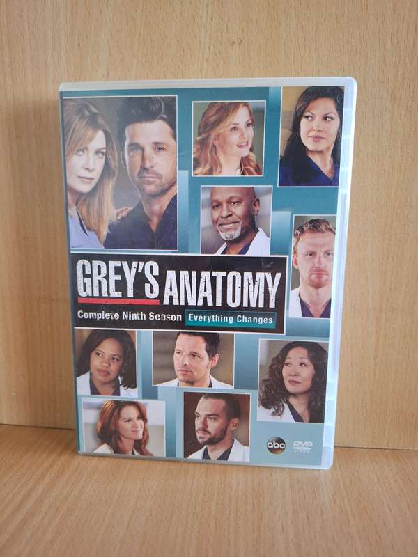 Grey`s Anatomy - Complete Ninth Season - Dvd  (6 discs)