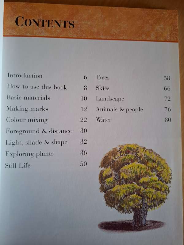 You Can Paint Pastels (A step-by-step guide for beginners) Marie Blake  (Hardcover)