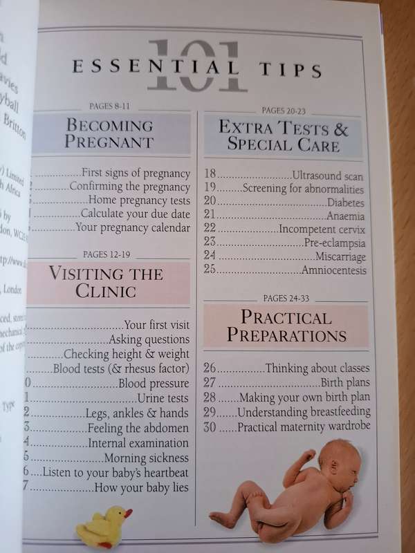 101 Essential Tips - Childbirth: Elizabeth Fenwick  (Paperback)