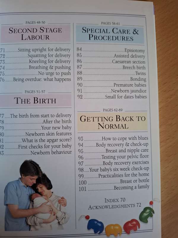 101 Essential Tips - Childbirth: Elizabeth Fenwick  (Paperback)