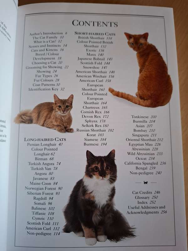 Eyewitness Handbooks - Cats - The Visual Guide to Over 250 Cat Breeds : David Alderton (Paperback)