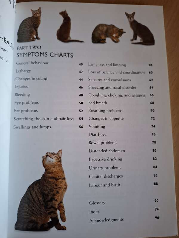 What`s Up with My Cat?  Dr. Bruce Fogle  (Paperback)