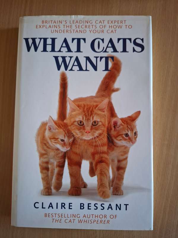 What Cats Want : Claire Bessant  (Hardcover)