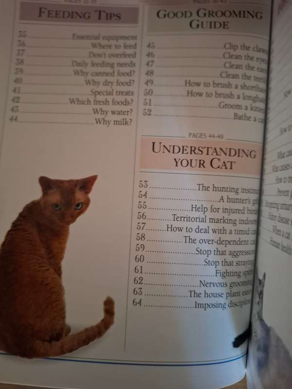 DK - 101 Essential Tips - Caring for Your Cat: Andrew Edney, David Taylor  (Paperback)
