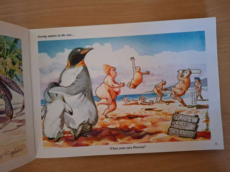 Rose Rigden`s Wildside  (Paperback)