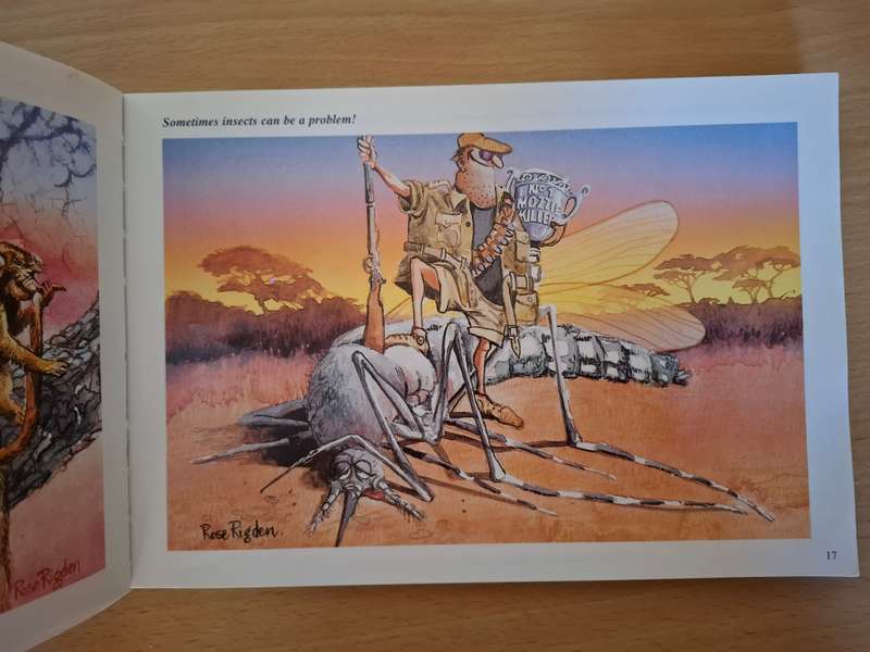 Rose Rigden`s Wildside  (Paperback)