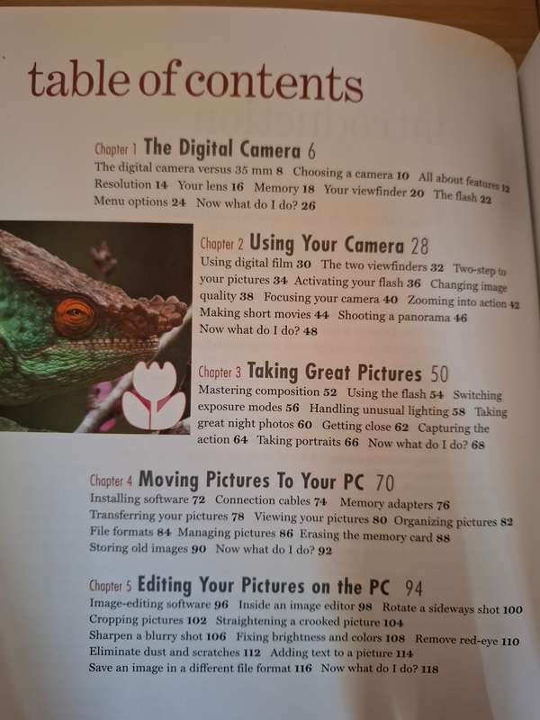 Barnes & Noble Basics Using Your Digital Camera by Dave Johnson (Paperback)