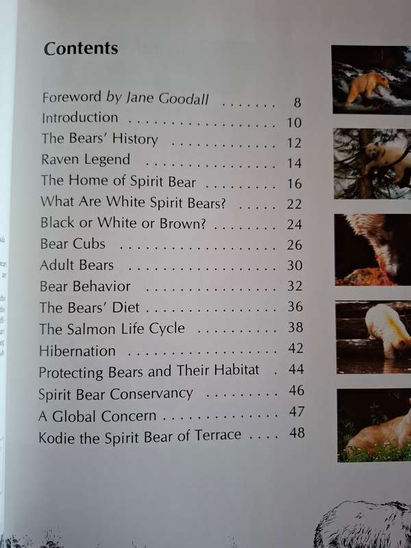 White Spirit Bear : Grandma Tess  (Hardcover)