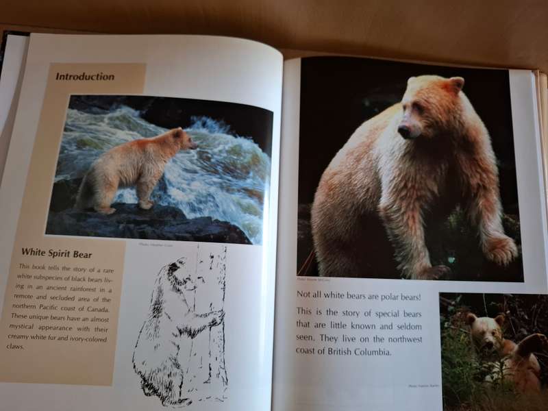 White Spirit Bear : Grandma Tess  (Hardcover)