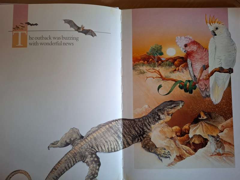 Bush nativity by Jo Monie  (Hardcover)