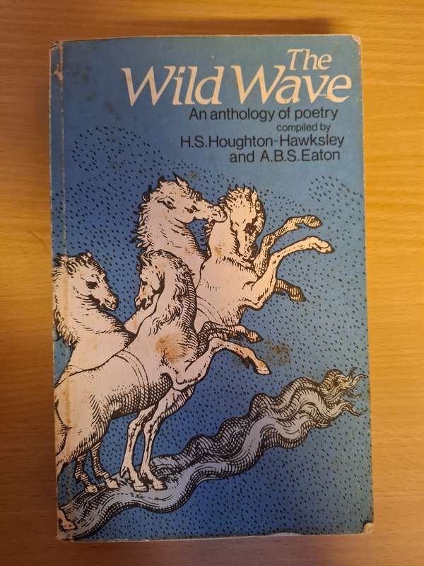The Wild Wave - An Anthology of Poetry: H.S. Houghton-Hawksley and A.B.S. Eaton (Paperback)