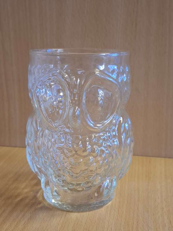 Glass Owl Drinking Glass