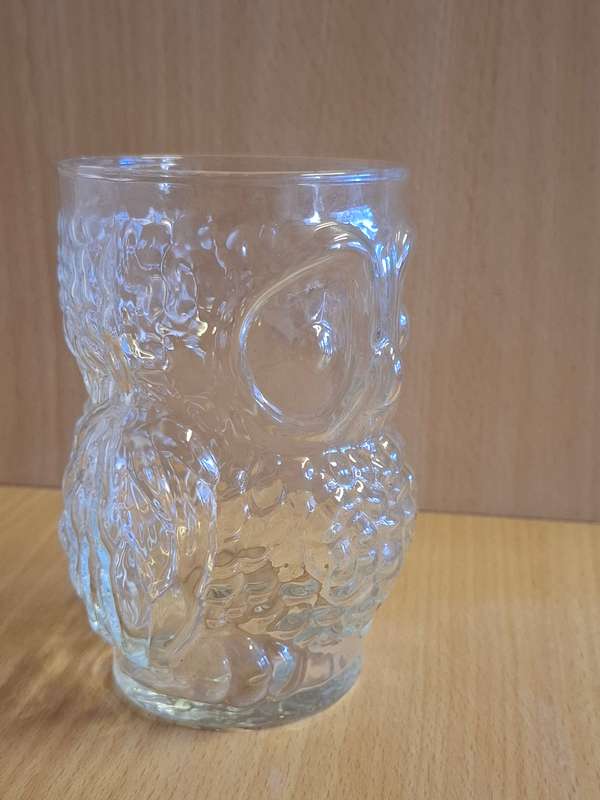 Glass Owl Drinking Glass
