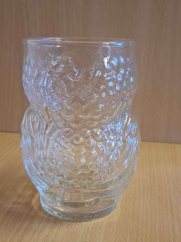 Glass Owl Drinking Glass