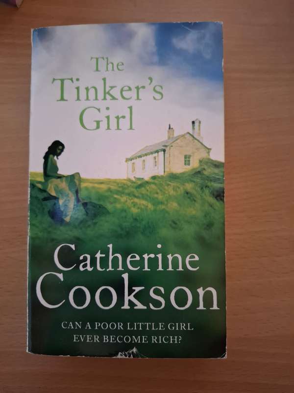 The Tinker`s Girl: Catherine Cookson  (Paperback)