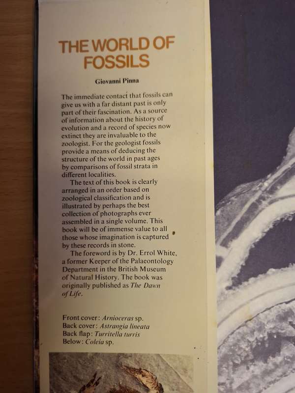 The World of Fossils : Giovanni Pinna  (Hardcover)