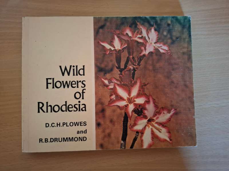 Wild Flowers of Rhodesia : D.C.H. Plowes and R.B. Drummond (Paperback)
