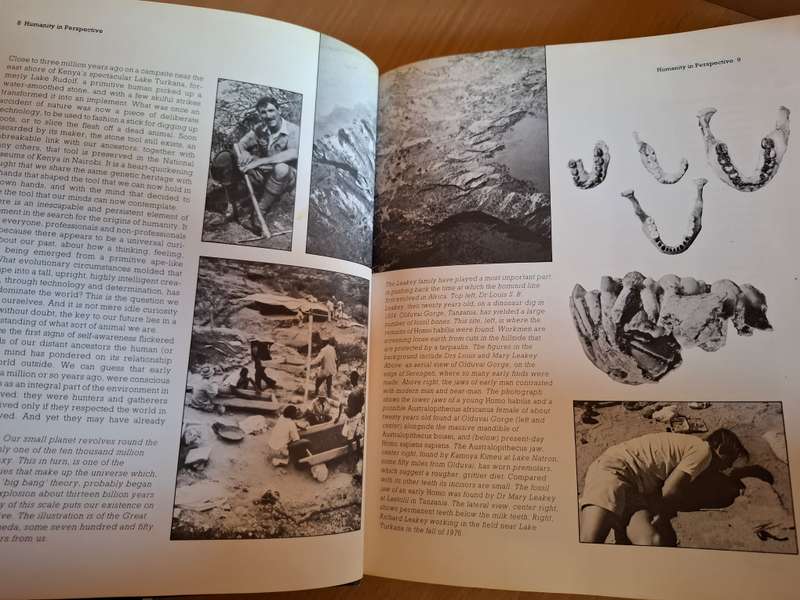 Origins - Richard E. Leakey and Roger Lewin (Hardcover)