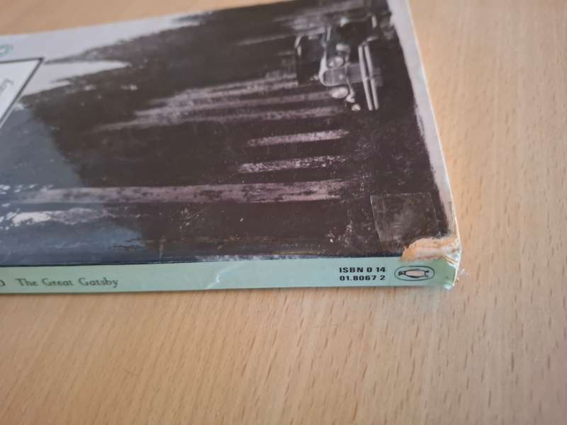 The Great Gatsby: F. Scott Fitzgerald (Paperback)