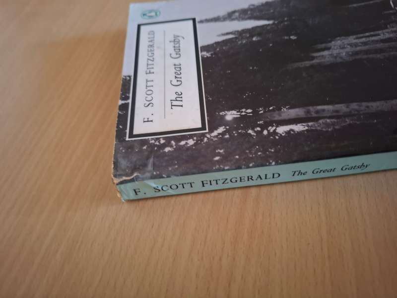 The Great Gatsby: F. Scott Fitzgerald (Paperback)
