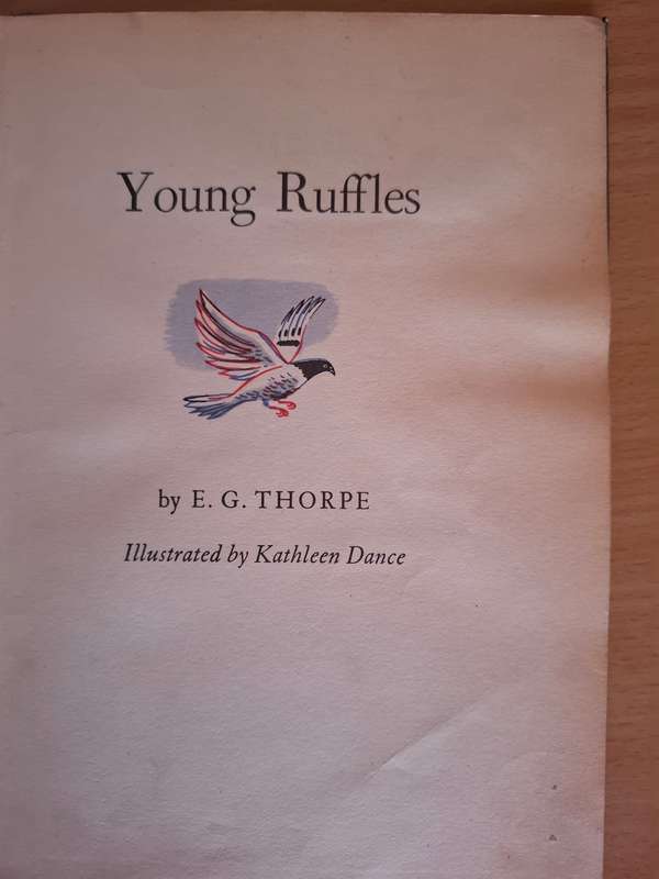Young Ruffles : E.G. Thorpe (Hardcover)