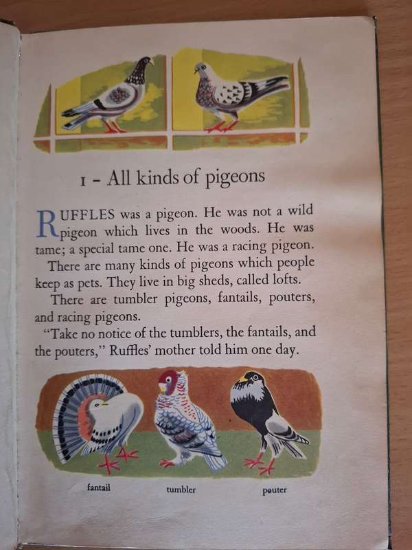 Young Ruffles : E.G. Thorpe (Hardcover)