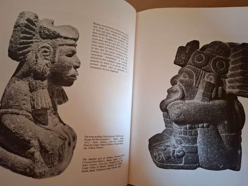 Primitive Art (Pre-Columbian/North American/American Indian/African/Oceanic : Ferdinand Anton (Hardc